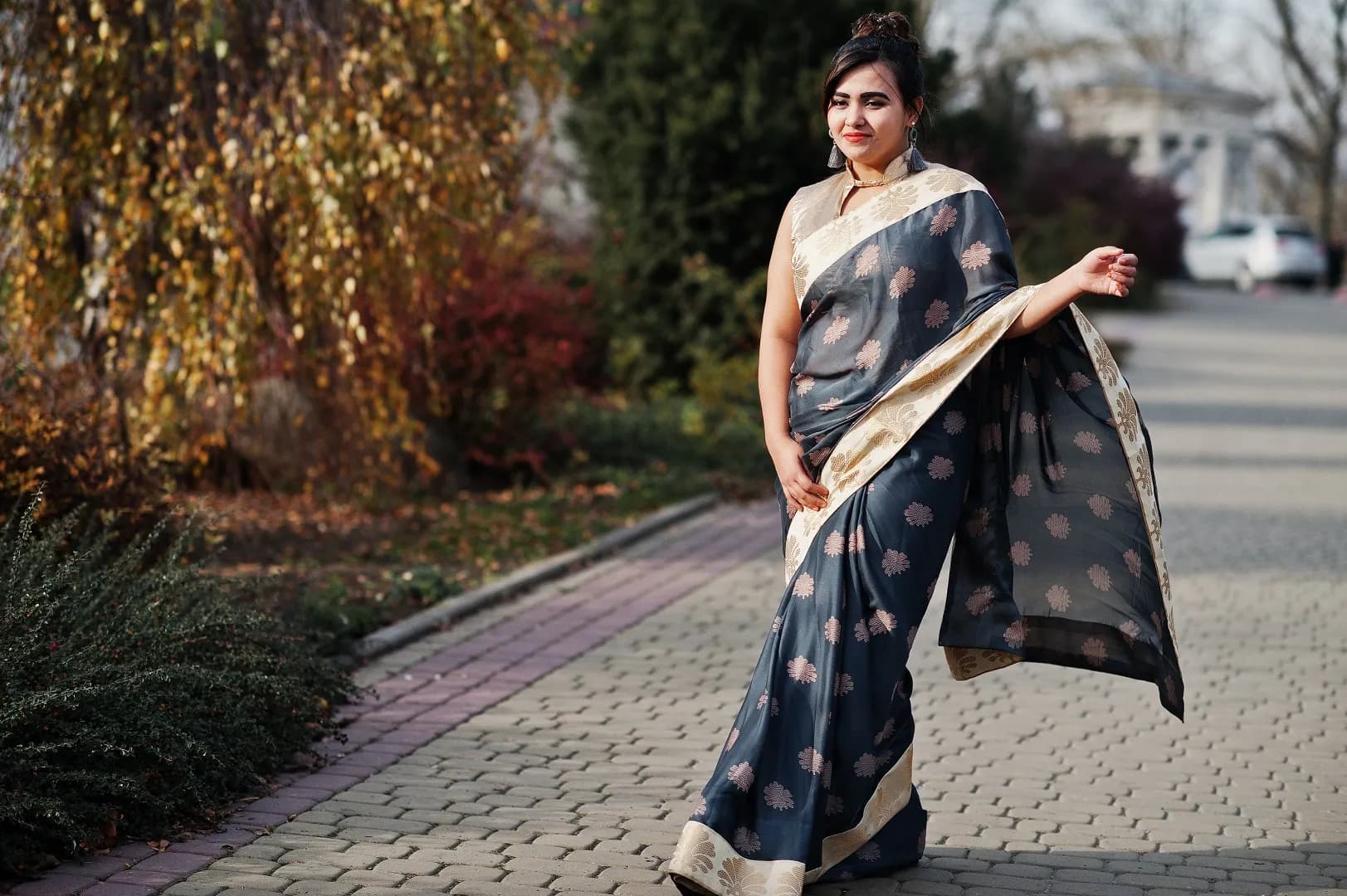 Indian Saree: Variety and Elegance